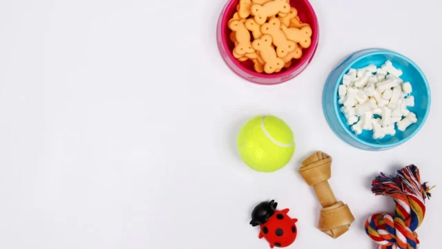 Anuncio-PAWS-holapasto-mascotas