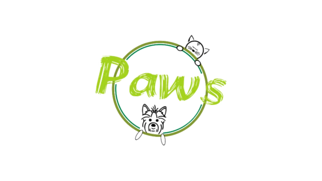 portada anuncio holapasto paws